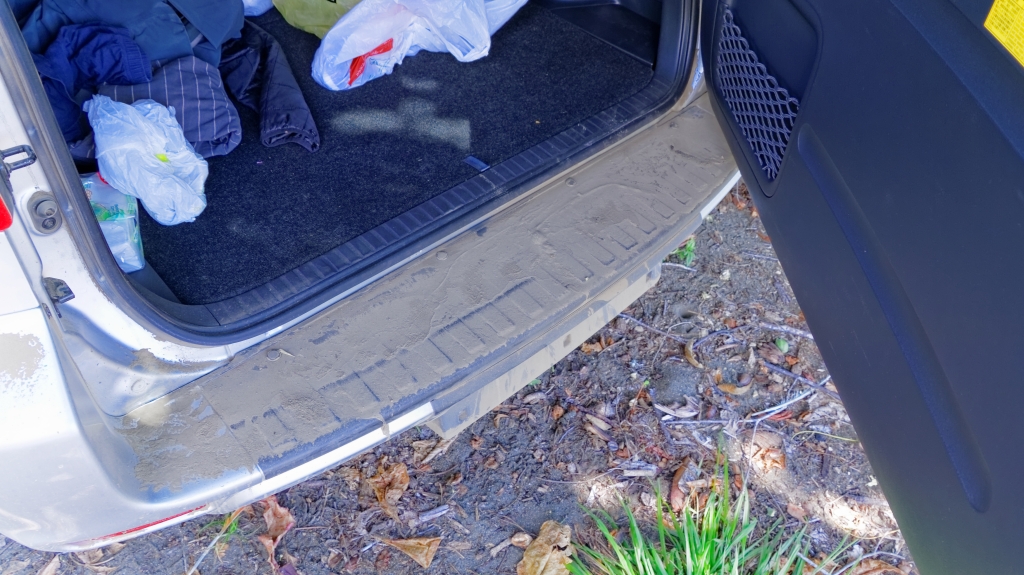 10 - Puerto Jimenez (5).jpg